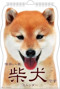 Shiba Imu 柴犬 Wandkalender 2026 gestanzt 13 Blatt 25 x 18 cm NEU Made in Japan - Bild 1 von 4