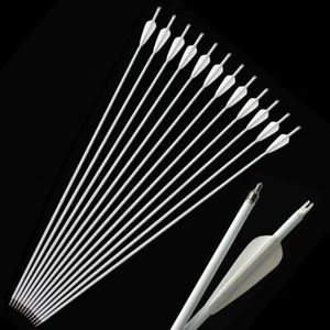 30" Archery Carbon Arrows SP500 Arrowheads Target Compound Recurve Bow Hunting - Picture 1 of 12