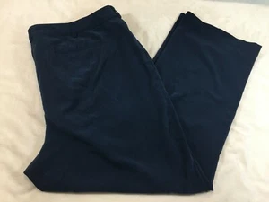 Lane Bryant Womens Petite Plus Size Flat Front Stretch Trousers Sz 22 Navy Blue - Picture 1 of 6