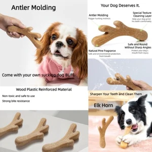 AU New Molar Stick Wood Plastic Antler Bite Resistant Boredom Dog Toys Pet Toys - Picture 1 of 14