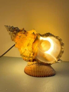LAMPADA ARTIGIANALE IN CONCHIGLIA NATURALE Made In Italy - Foto 1 di 2
