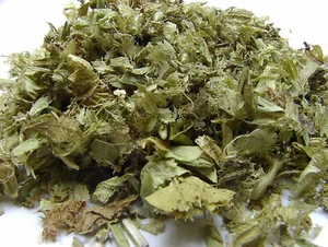 100g Griechischer Bergkräutertee Sideritis species loser Tee - Bild 1 von 1