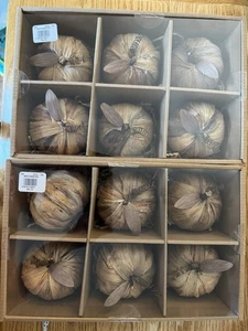 Pottery Barn 12 Kürbisse 2 Schachteln Neu - Bild 1 von 4