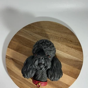 "Placa de pared negra Bossons Chalkware Poodle Head 5"" 1968"  - Imagen 1 de 6