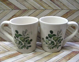 Pier 1 Set 2 New Mugs Monogram Letter S Succulent Botanical Modern Farmhouse Cup - Picture 1 of 8