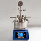 Mini Magnetic Stirring High Pressure Reactor Hydrothermal Synthesis Autoclave