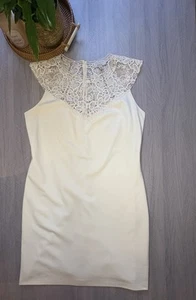 Ted Baker dress, size 4 (UK 14), ivory lace detail, occasionwear, cream - Picture 1 of 5