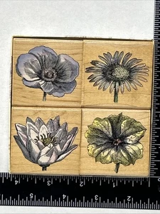 IMPRESIONES POÉTICAS Héroe Artes Estampillas de Goma Pétalos Poéticos Flores Margarita Dalia - Imagen 1 de 5