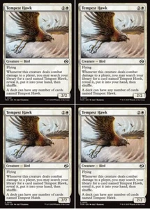 MTG - 4x TEMPEST HAWK - Tarkir Dragonstorm (C) - Picture 1 of 1
