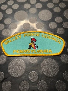 BSA VALLEY FORGE PENNSYLVANIA T-1 TOPPA SPALLA JS - Foto 1 di 1