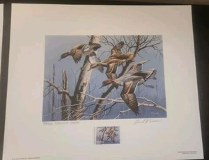 Vintage grün geflügelte türkis Enten Ente Stempel Druck Arkansas Wanderjagd - Bild 1 von 11