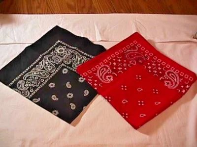 2 PAÑUELOS GRANDES PAISLEY 100% ALGODÓN PAÑUELOS PAÑUELO BUFANDA Foto 1 de 4