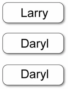 LARRY DARYL & DARYL NAME INSIGNIAS DE DISFRAZ HALLOWEEN PIN TRASERO COSPLAY UTILERÍA - Imagen 1 de 2