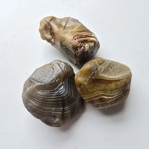 Lake Superior Agate Agates Banded Rough Lapidary Gemstone 3.19 Oz - Picture 1 of 5