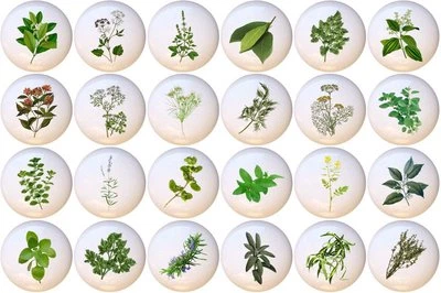 Juego de 24 Perillas de Armario Tiradores de Cajón de Cocina CERÁMICA Hierbas Especias Foto 1 de 4