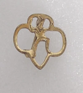 Vintage Pfadfinder Brownie Mitgliedschaft Anstecknadel Anstecknadel Brosche goldfarben  - Bild 1 von 11