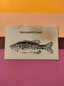 Fishing Time vintage SMALLMOUTH BASS game card Oddball free ship - Picture 1 of 2