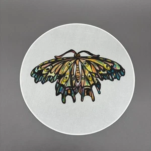 Panel de arte de mariposa polilla de seda pintado a mano pared arco iris decoración aro de metal 10" - Imagen 1 de 6