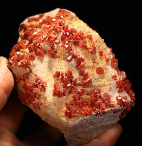 4.5" Superb Cherry Red Vanadinite Crystals on Matrix,  Morocco! ! V252 - Picture 1 of 4