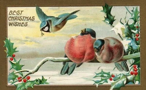 Gold Metallic Birds Flying and Sitting On Branches Merry Christmas Postcard - Picture 1 of 2