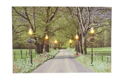 LED Enhanced Canvas Print of a Walk in the Park… - Image 1 of 3