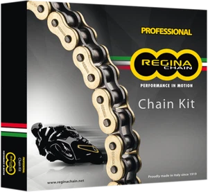 Regina Chain And Sprocket Kit Kd022 - Picture 1 of 1