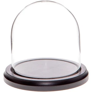 Cúpula de exhibición de vidrio Plymor de 4" x 4" (base de madera MDF negra) - Imagen 1 de 1