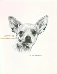 #23 CHIHUAHUA portrait dog art * Pen and ink drawing * Jan Jellins - Picture 1 of 1