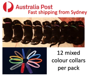 5/12 Colours Whelping ID Collar Bands Pet Puppy Kitten Identification Collar Tag - Picture 1 of 4