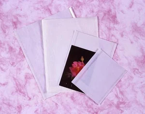 Kenro Clear Fronted Bag for Photo Storage 8.5x10.5" Pack of 500 - NB023 - Picture 1 of 1