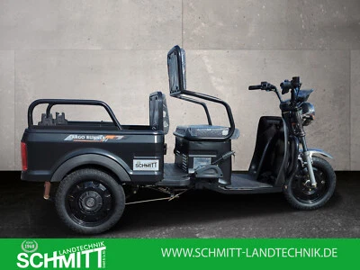 Cargo runner Compact  Rikscha Lastendreirad und Personentransport in einem - Bild 1 von 4