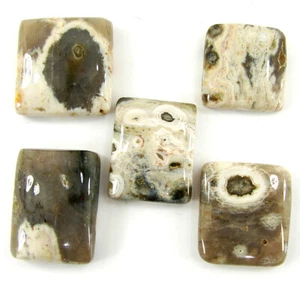 99.45 Ct Natural Ocean Jasper Loose Gemstone 17-21 mm Cabochon 5 Pcs Lot - 64831 - Picture 1 of 5