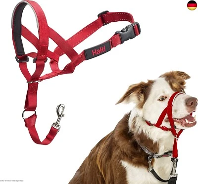 MARKE COMPANY OF ANIMALS HALTI Kopfgeschirr - Verhindert, dass Ihr Hund an der Leine zieht, Einfache