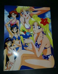 Sailor Moon Poster 11x15 laminiert Beach Time Fun Anime  - Bild 1 von 2