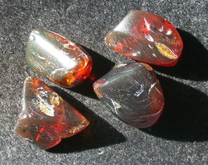 4 Pezzi Pietre Preziose Fossili AMBRA Verde con Inclusioni Fossili 20 grammi - Foto 1 di 7