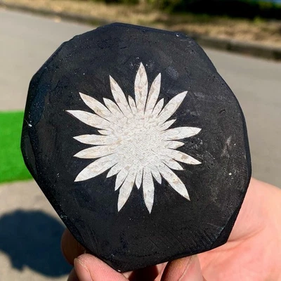 239G Natural Chrysanthemum Stone Quartz Carving Halo Treatment Gift - Image 1 of 4