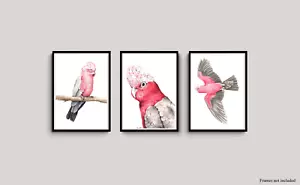 Set of 3 Watercolour Galah Prints - Australian Bird artwork Pink Cockatoo - Picture 1 of 4