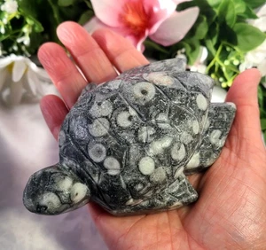 Rare Large 4" 431g A+ Orthoceras Crinoid Fossil Shells Sea Turtle Stone Carving - Picture 1 of 12
