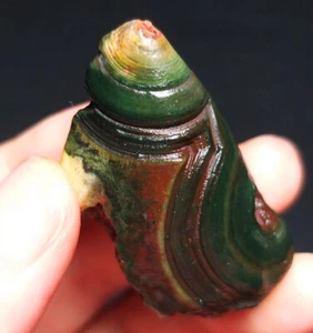 Rare 18G Natural Inner Mongolia Gobi Eye Agate Stone Mineral Specimen ZZ315 - Picture 1 of 12