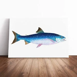Alpine Charr Fish Animal Vintage Edward Donovan Canvas Wall Art Print Framed - Picture 1 of 7