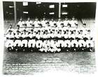 New York Yankees New York Yankees 1952 World Champions Team Photo 8'' X 10'' Inc