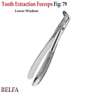 Extracting forceps Fig 79 Tooth Pull Lower Wisdom Molar Pliers Extraction Lab - Picture 1 of 5