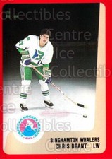 1988-89 ProCards AHL #59 Chris Brant