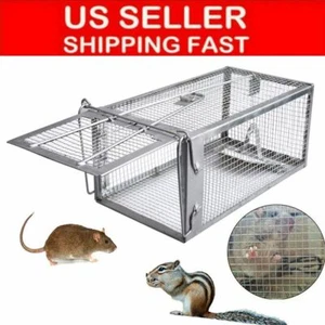 Live Humane Cage Trap for squirrel chipmunk mice rodent No Kill small animals - Picture 1 of 12