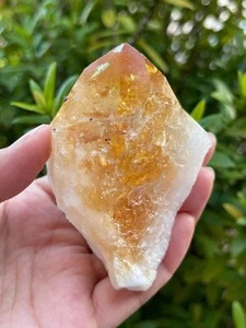XL Citrine Point - Healing Crystal 2-3" | Citrine Point for Energy & Wellness - Picture 1 of 16