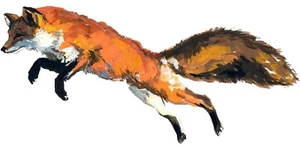 4” Red Fox Sticker Jumping Hunter Animal Wild Outdoors Beautiful Predator - Picture 1 of 1