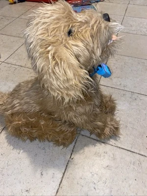 Skyrocket Moji the Lovable Labradoodle Collar Only And Working! - Image 1 of 4