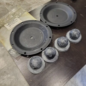 476.042.365 Sandpiper Kit for AV SD SD Metallic 2" Pump KIT WET S20M NE NEW $499 - Picture 1 of 6