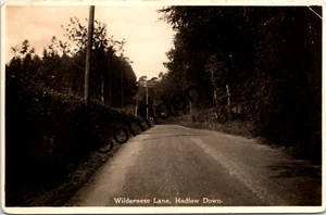 HADLOW DOWN SUSSEX WILDERNESS LANE 1935 FOTO REAL POSTAL DE COLECCIÓN - Imagen 1 de 2