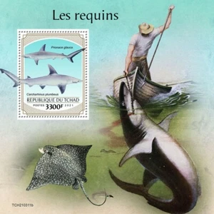 Chad 2021 MNH Marine Animals Stamps Sharks Blue Sandbar Shark 1v S/S - Picture 1 of 1